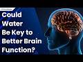 New Study Reveals Water’s Unexpected Function in Brain Memory and Learning Processes