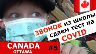 Сдаем тест на COVID19 в КАНАДЕ | ЗВОНОК из школы |  Нашествие бурундуков |  Музей природы