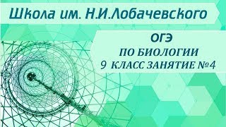 ОГЭ по биологии 9 класс. Занятие 4. Ткани животных ( человека) ОГЭ по биологии 9 класс. Занятие 4. Ткани животных ( человека)