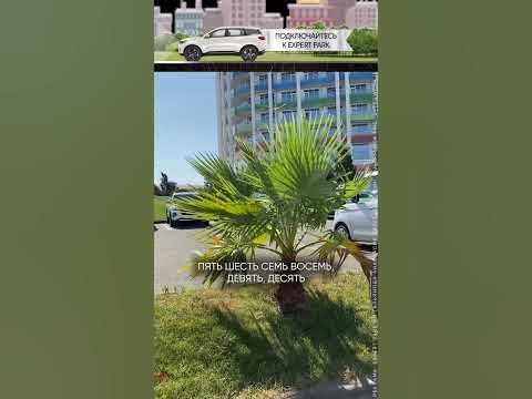ВЦИОМ. Новости: Такси в России: восприятие и оценка качества услуг