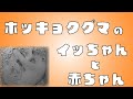 【ズーラシア公式】ホッキョクグマのイッちゃんと赤ちゃん の2か月間