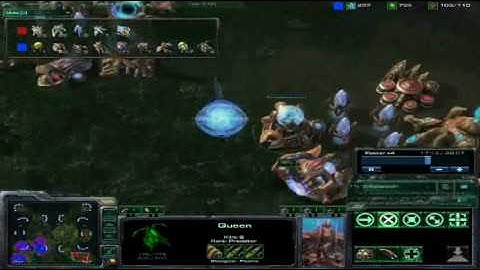 SC2 Beta 1v1 - Ordaehn ZvP #1 2/2