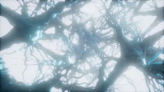Scientists Grow Brain Cells From Skin Cells In a Dish