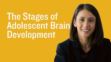 The Stages of Adolescent Brain Development With UCLA
