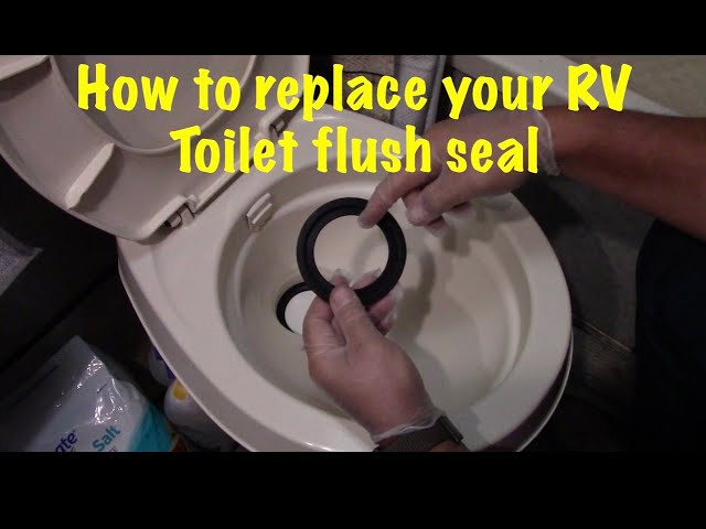 How to replace your RV Toilet Flush Seal Travel Trailer Toilet bowl Ball  gasket Replacement #rv 