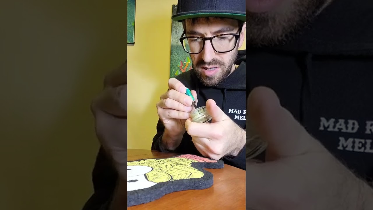 DABS from the zebra print MADE by A GIRAFFE man