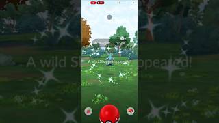 Pokémon GO! - ✨️SHINY✨️ Shuppet