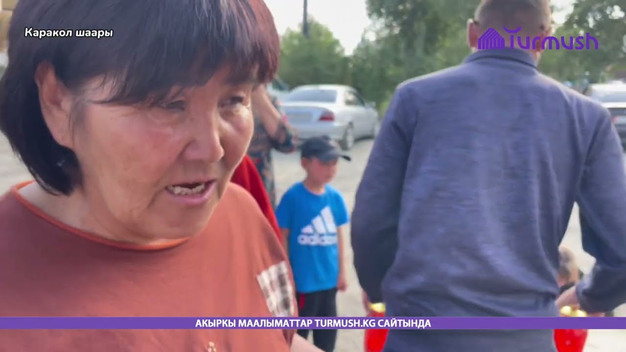 Чаек—Каракол—Чаек маршруттук каттамындагы айдоочунун жоругу