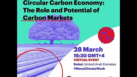 Decarbonization through the Circular Carbon Economy: The Role and Impact of Carbon Markets