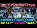 【実話】ヒグマの群れに囲まれた中洲…絶体絶命の秋田犬を救出した男が直面した、国家を揺るがす「衝撃の真実」と涙の恩返し