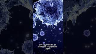 Hantavirus infection : transmission, symptômes graves et urgence diagnostique