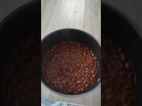 beans es stupido
