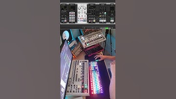 Live Techno Mutable Instruments Plaits in VCV rack. #techno