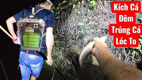 Xiệt Quẩy Bộ Combo 6f+Pin, Săn bắt Cá Lóc Đồng Rô Trê/ Ban Đêm