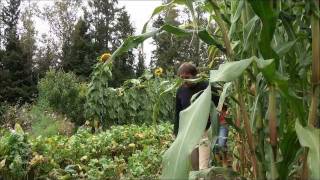 Les Jardins de l'Écoumène