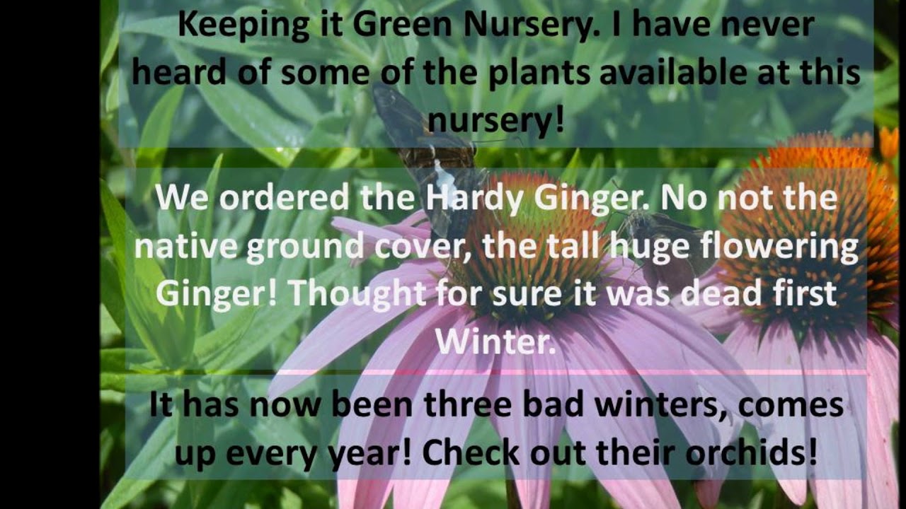 The Best Online Nurseries You Never Heard Of The Best Online Nurseries You Never Heard Of