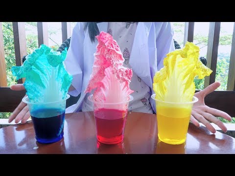 Fun Science For Kids: Bagaimana Tanaman Menyerap Air | How Plants Absorb Water Experiment