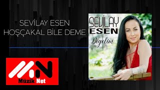 Sevilay Esen - Hoşçakal Bile Deme  Resimi