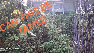 Can this garden be tamed..Lets give it a go