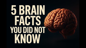 5 mind-blowing facts about the human brain