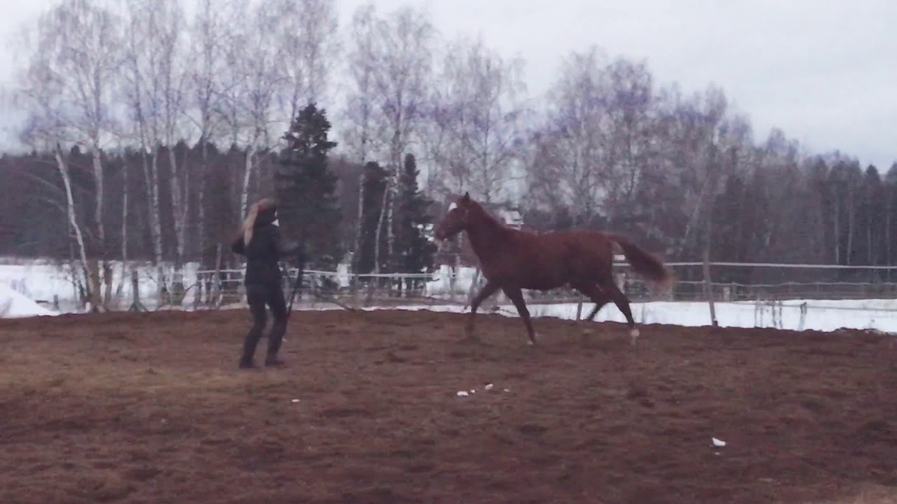 Энигма 3.12.17 - YouTube