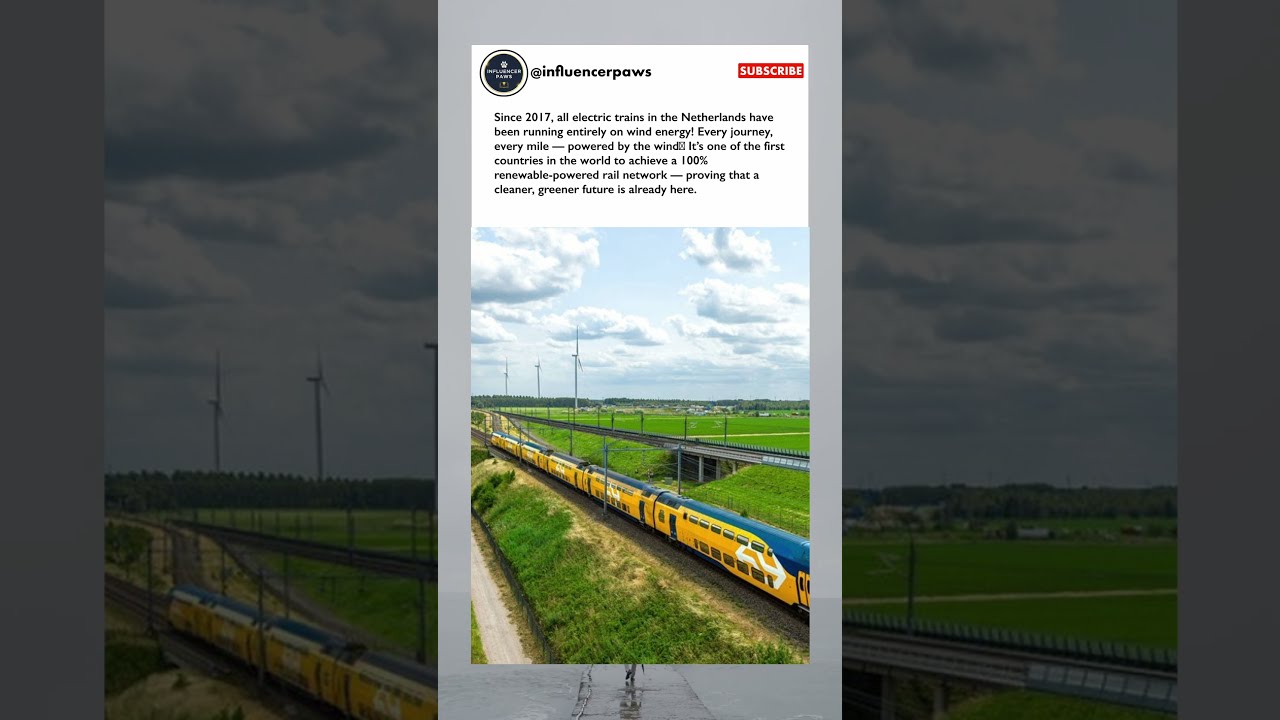 Since 2017, All Dutch Trains Run Entirely on Wind Power 🚆💨 