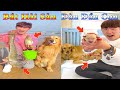 Thú Cưng TV | Dương KC Pets | Gia Đình Gâu Đần #15 | Chó thông minh vui nhộn | funny cute smart dog