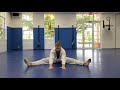 Online Course: Kids Beginner TKD: Lesson #3