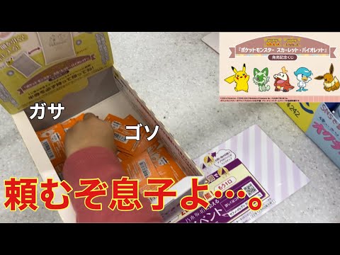 これは先生の出番。一番くじポケモン。