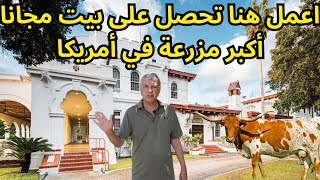 اكبر مزرعة في امريكا  من يعمل فيها  يحصل على بيت مجانا