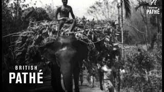 Assam Prepares To Receive Dalai Lama (1959)