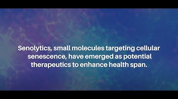Exploring Effects of Dasatinib, Quercetin, and Fisetin on DNA Methylation Clocks | Aging-US