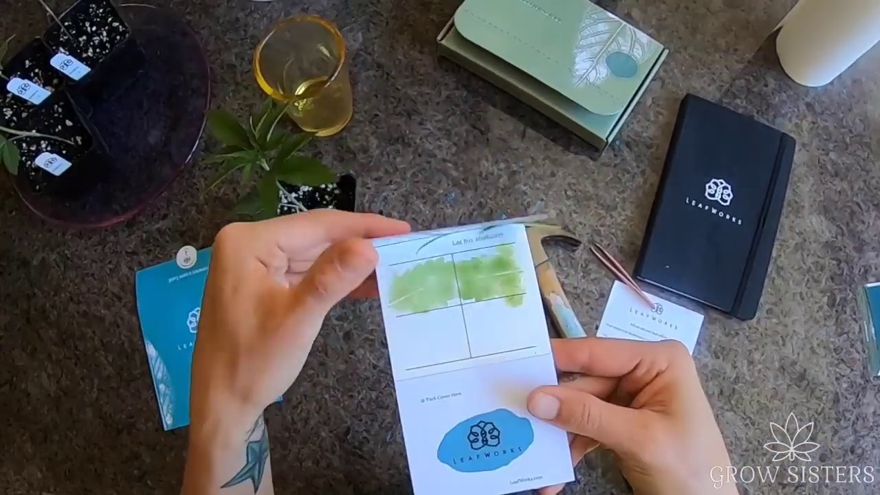 Grow Your Own Cannabis & Hemp, Plant Gender ID Test by LeafWorks DNA
