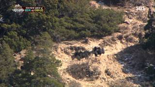 정글의법칙 20130712 #38(5)