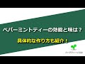 ペパーミントティーの効能と味は？具体的な作り方も紹介！