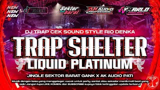 DJ TRAP SHELTER X LIQUID PLATINUM STYLE RIO DENKA | FYP TIKTOK YANG KALIAN CARI