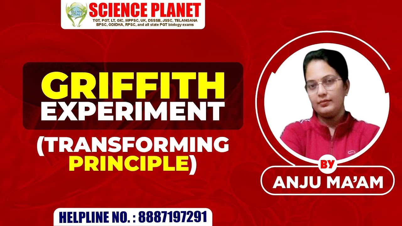 GRIFFITH EXPERIMENT का रहस्य: DNA का ‘Transforming Principle’ कैसे बदला जीवाणु? 🔬 by Anju Mam