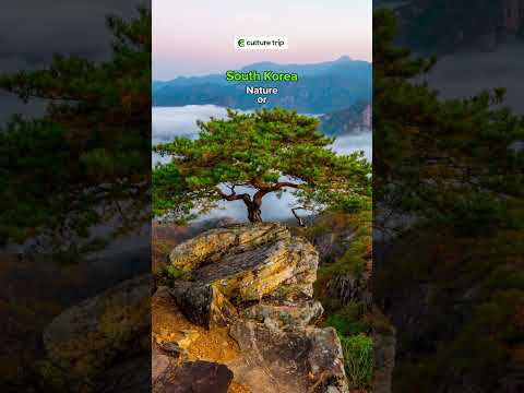 ✨ Let us know in the comments! South Korea - nature or city, what’s your vibe? 🇰🇷 #culturetrip