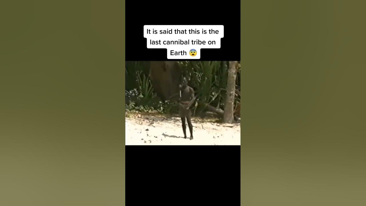 Rare Videotape of North Sentinel Island 🏝 #shorts