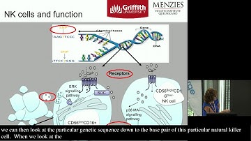 Immunological & Calcium Signalling Define ME/CFS