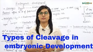 Embyonic Development/ Cleavage /  Morula / Blastomere / Human Reproduction / Dr. Poonam / Biozooms.