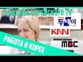 Я ЗВЕЗДА TV ☆ Работа в Корее. Где искать? Мой опыт.