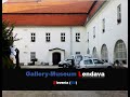 Wael darweish  gallerymuseum lendava slovenia2010