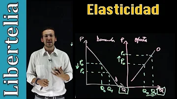 ¿Cuál es la importancia de la elasticidad en la economía?