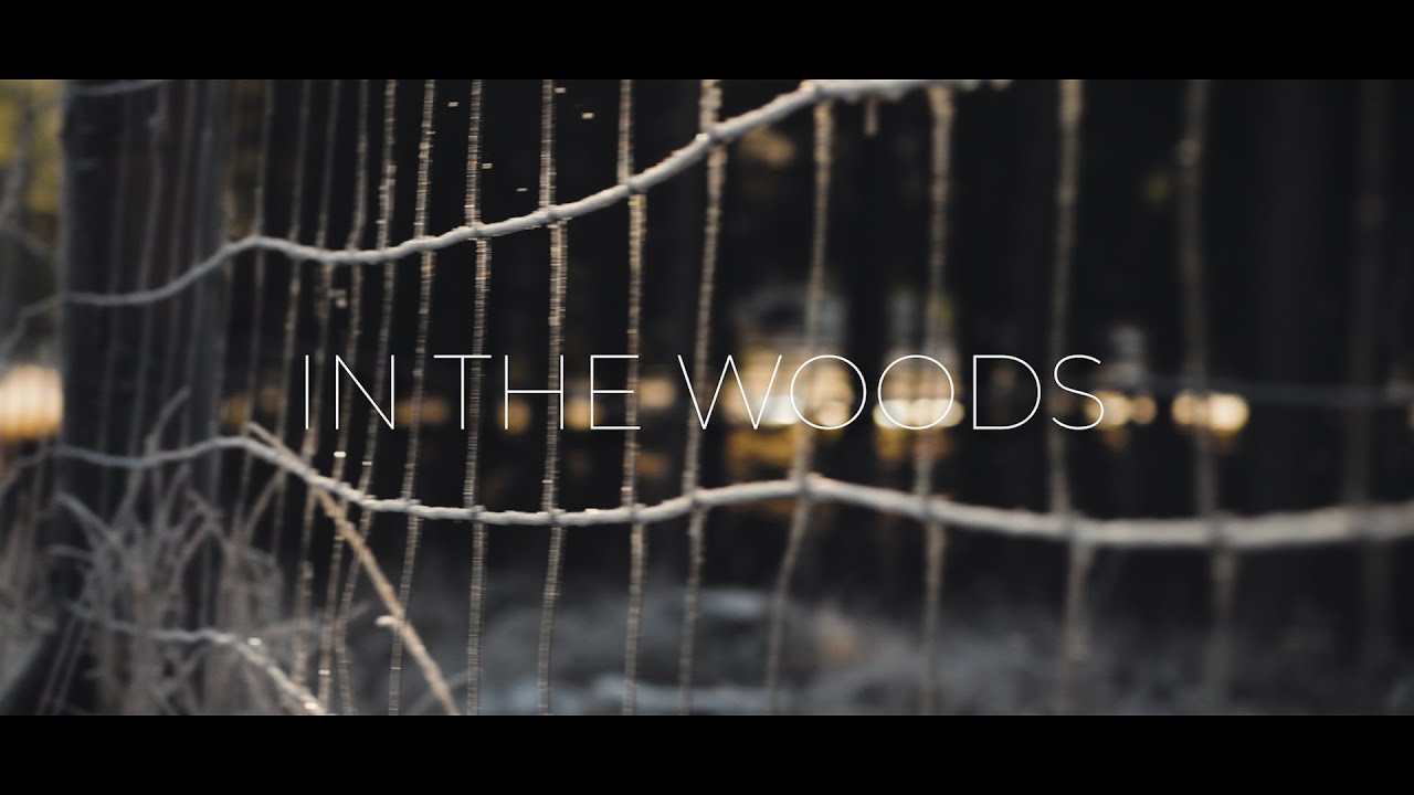 In The Woods - Canon 6d mkii