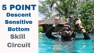 5 Point Descent Sensitive Bottom • Divemaster Instructor PADI IDC Skills Circuit