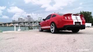 Ford Mustang Shelby GT500(Технические характеристики данной модели: Модельный год 2007 Тип кузова Купе Длина, мм 4765 Ширина, мм 1877 Высота..., 2014-08-02T18:21:46.000Z)