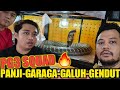 GARAGA KING COBRA MAKAN PYTHON  | JADI GENDUT KAYA GALUH ?!