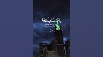 #قرآن_كريم بصوت الشيخ #ياسر_الدوسري #المصحف #سورة #القرآن_الكريم #yasseraldossary #quran