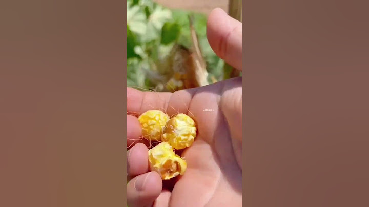 这个夏天能有多热，感觉又要被夏天背刺了
